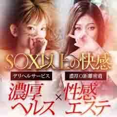 新ハイブリッドエステエクスタシーPlus　